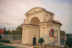 DSC8649