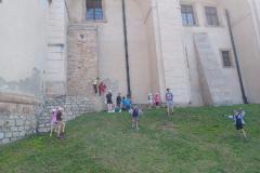 Resized_20240624_101357.jpeg