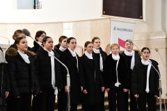 DSC_6485-cf241e62