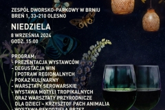 NocMotyli_Plakat_WWW