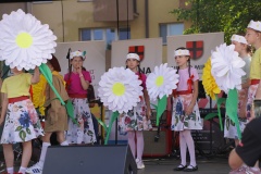DSC02066