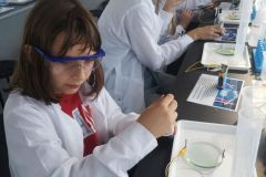 IMG-20250922-WA0045