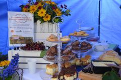 DSC_5904-8961fb25
