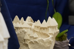 DSC8355