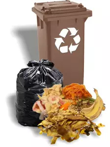Brązowy pojemnik i odpady biodegradowalne